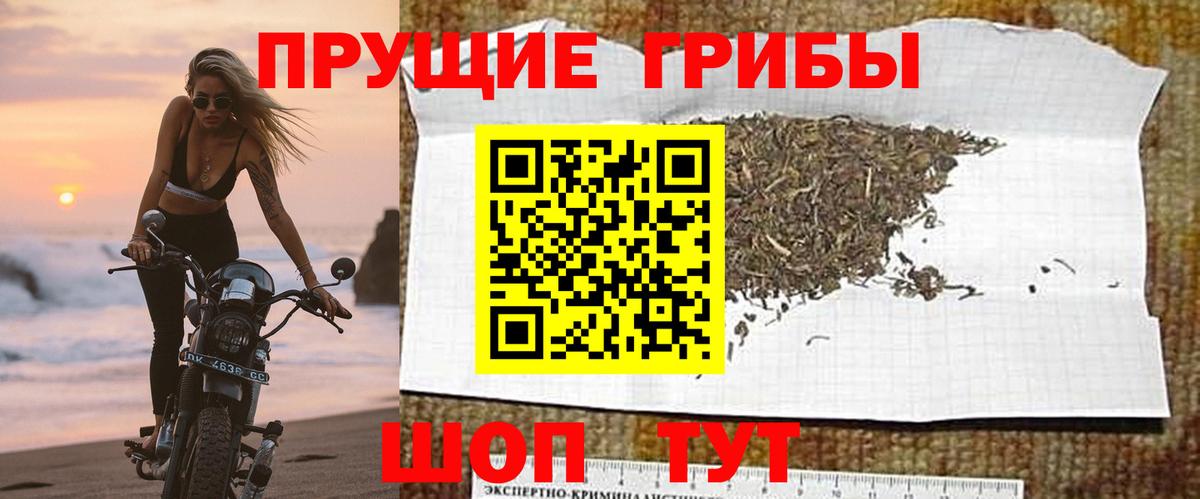 Галлюциногенные грибы ЛСД  Вход с VPN  Псилоцибиновые грибы мухоморы  магазин    Унеча 
